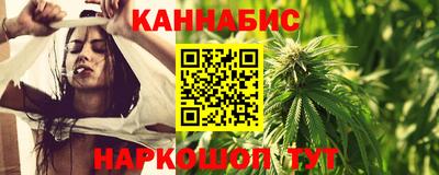 мет Кингисепп
