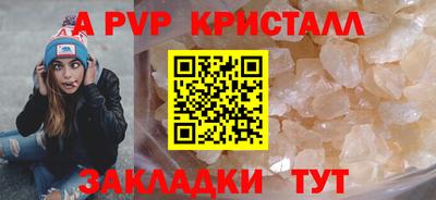 мет Кингисепп