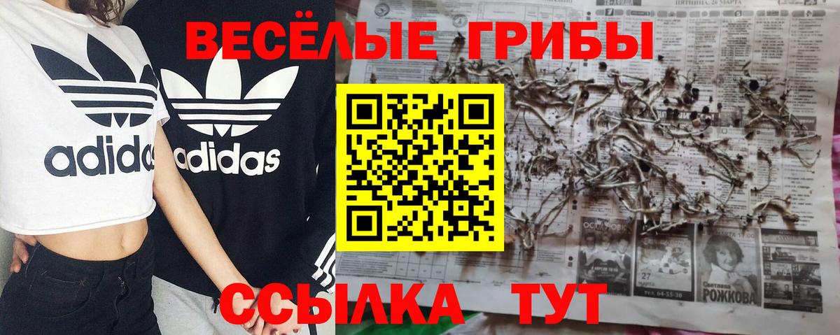 Псилоцибиновые грибы Psilocybine cubensis  Вход с VPN  Галлюциногенные грибы Psilocybe  Крымск 